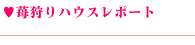 苺狩りハウスレポート