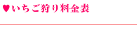 いちご狩り料金表