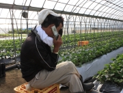 おじさんは元気です！