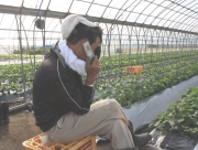 おじさんは元気です！