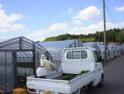 愛車の軽トラック