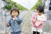 苺狩りでご機嫌ですね