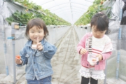 苺狩りでご機嫌ですね