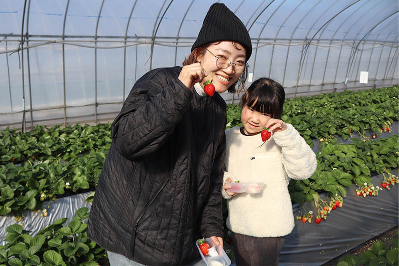 完熟苺は甘いね〜