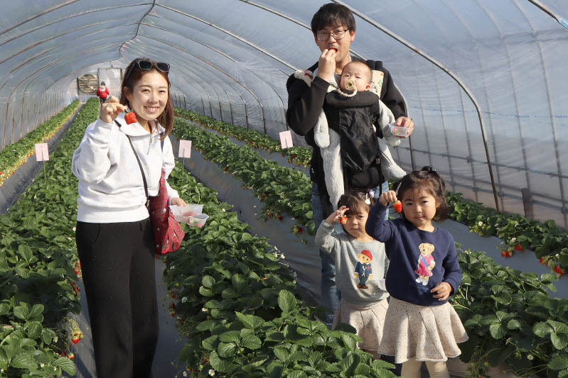 土耕ハウスでほぼ貸切状態