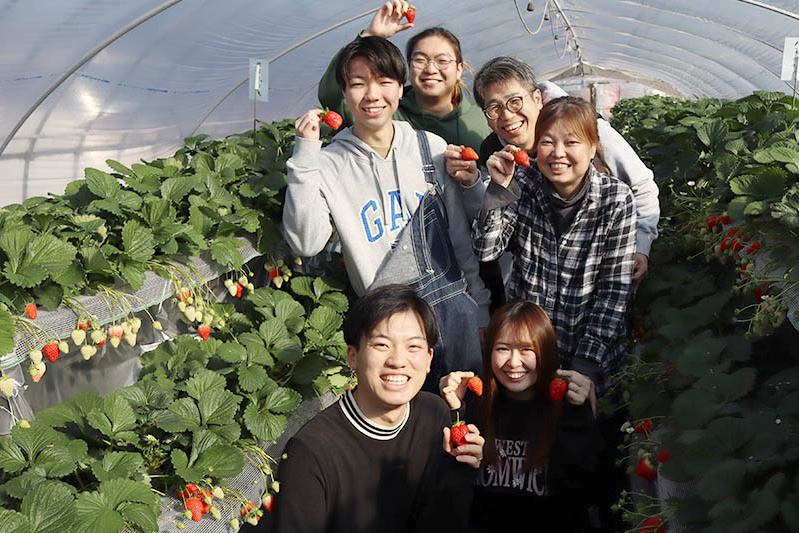 あったか高設栽培ハウス内
