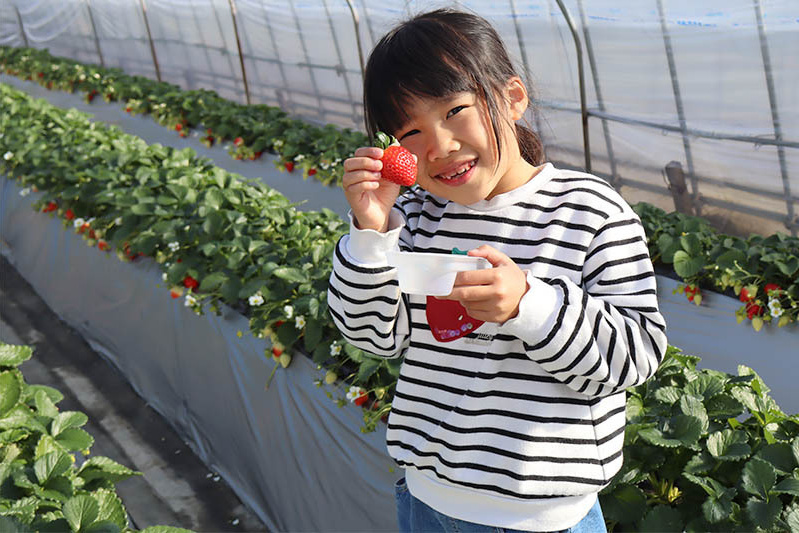 時間いっぱいたくさん食べてね