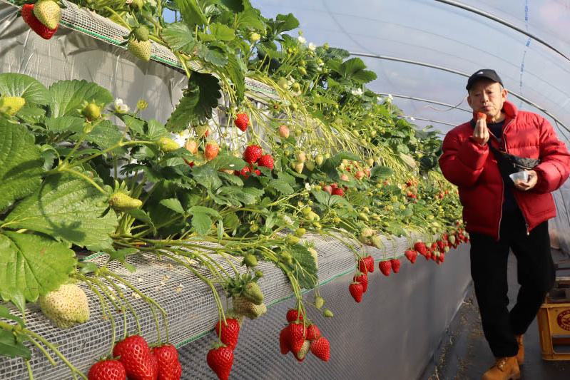 ご満足いただけましたか？