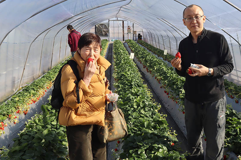 完熟苺じっくり味わってね
