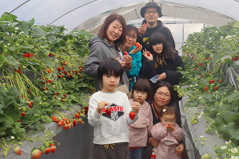 お子様も摘める高さです