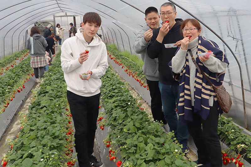 美味しい苺の目利きになってね