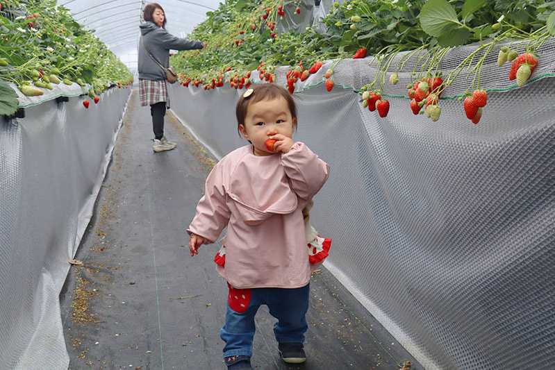 また来てくださいね〜