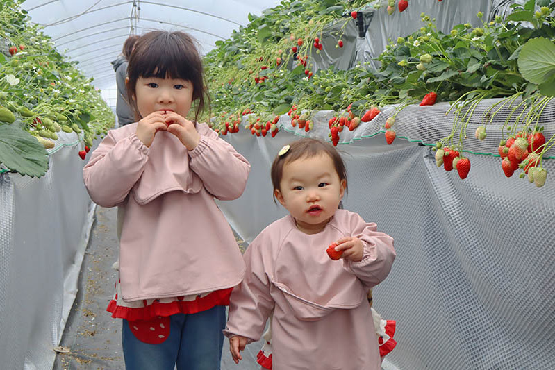 甘〜い苺でニコニコ