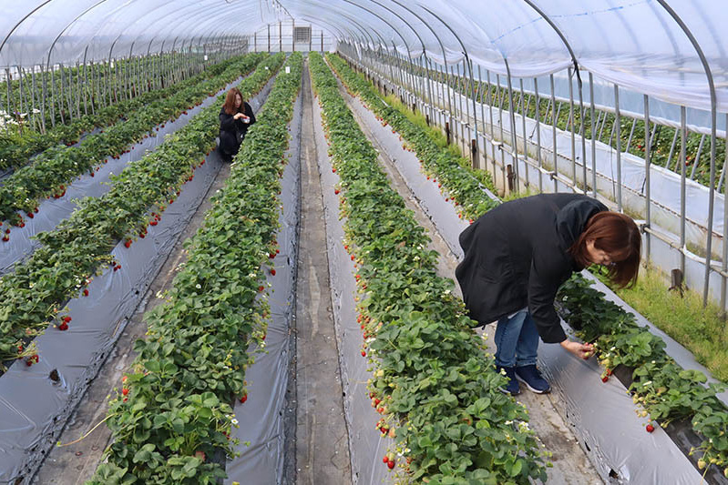 じっくり選んで味わってください