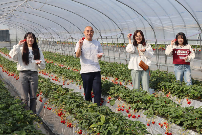 ハウスは暑くなって来ました