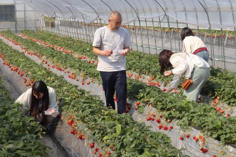 時間いっぱい楽しんでね