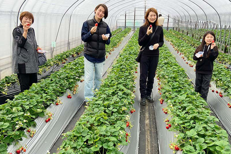 いつもご来園ありがとうございます