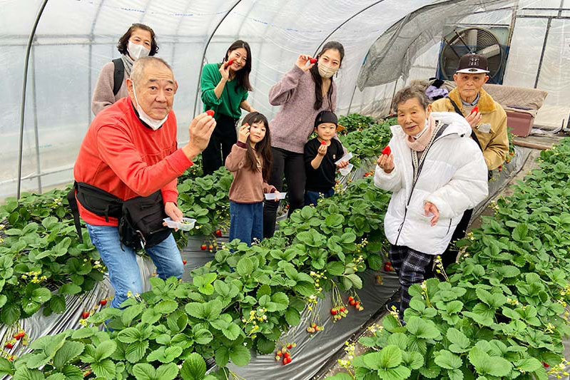 いつまでも元気で苺狩りに来てね