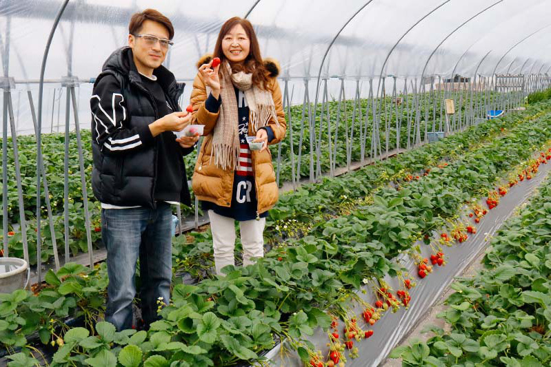 どの品種も美味しいですね