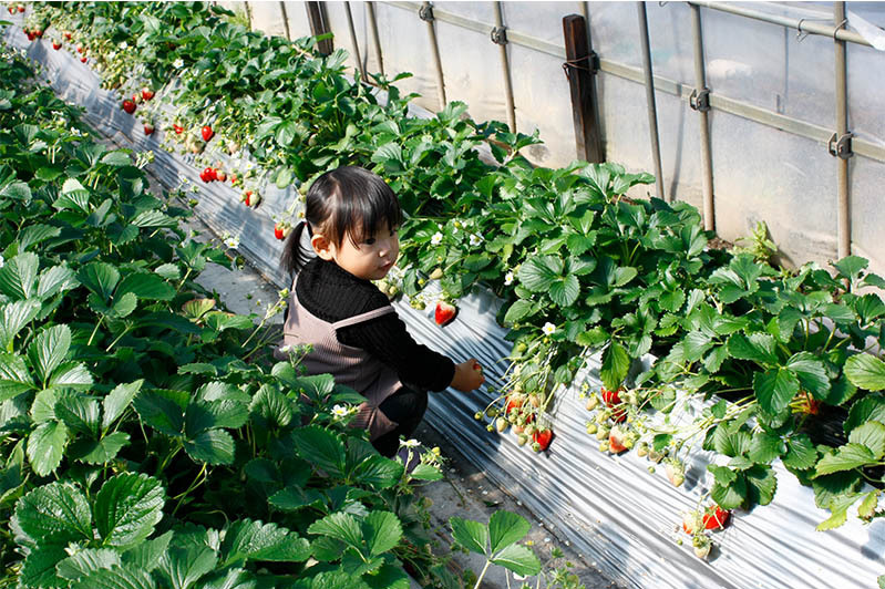 こっちの方が甘いよ