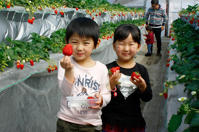 ヘタを取ってあげるからね