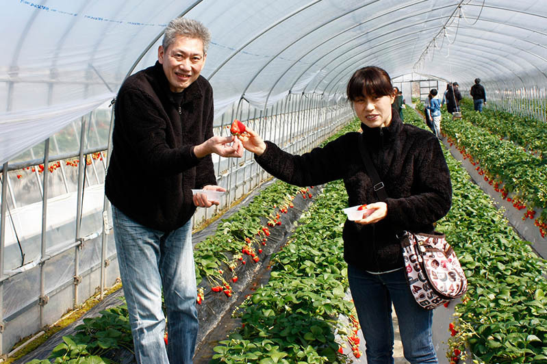 子供は土耕栽培が食べやすいね