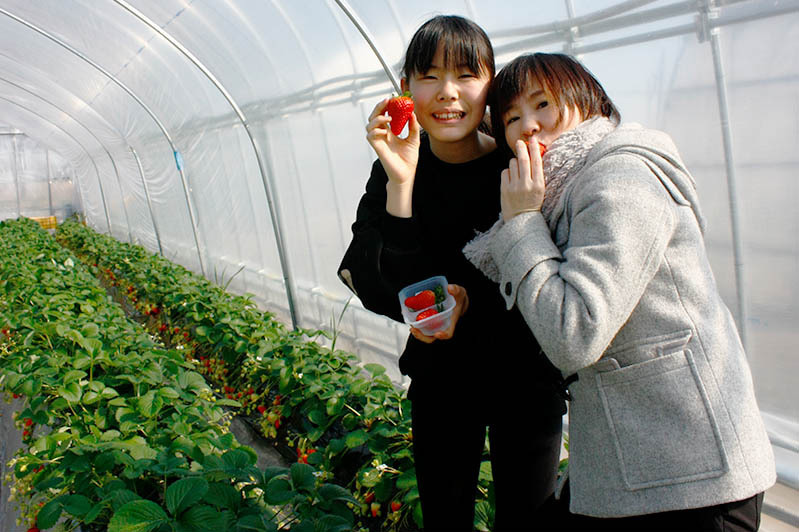 フレとの楽しい休日