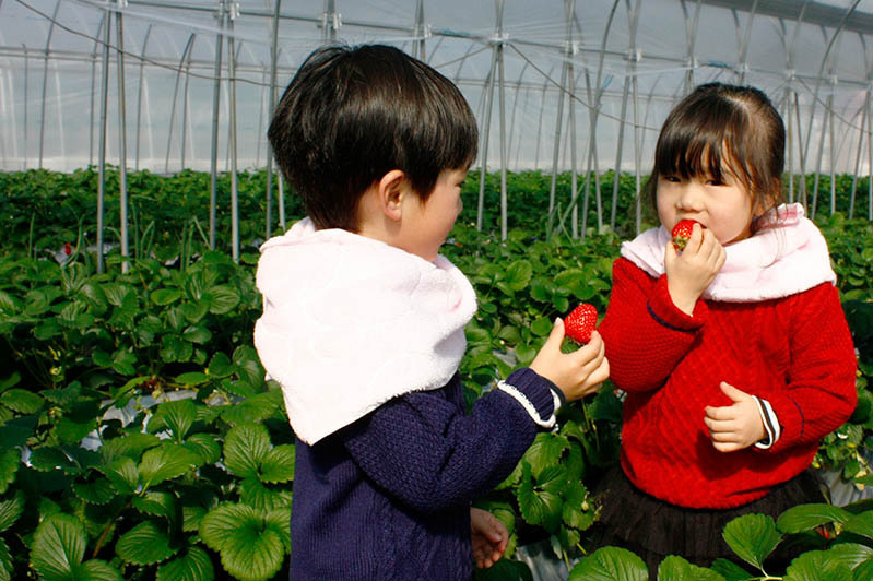 こっちの方が甘いよ