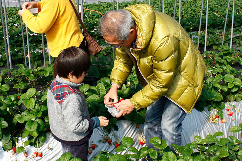 ヘタを取ってあげるからね