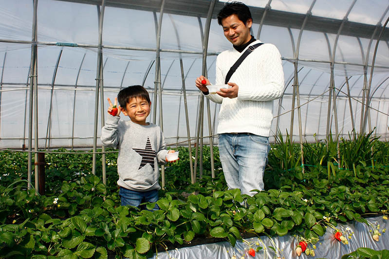 食べ放題だから楽しんでね