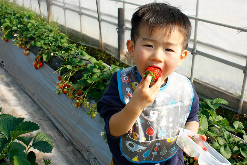 大きいのを見つけたね