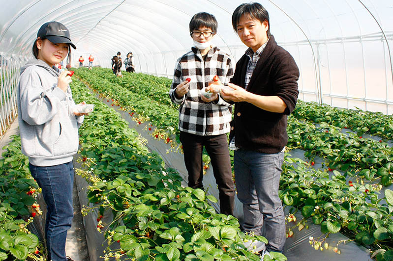 苺の見分け方はわかりましたか？