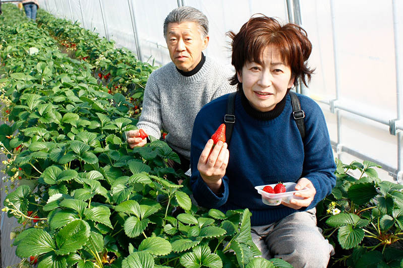 いつもご来園ありがとうございます