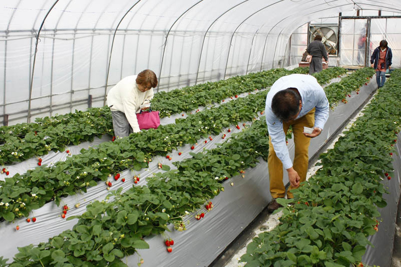 じっくり選んでください