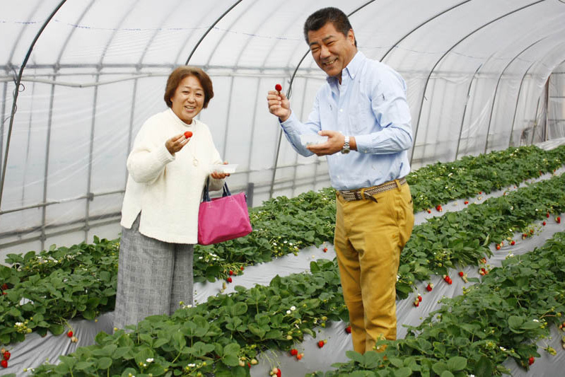 甘い苺は見つかりましたか