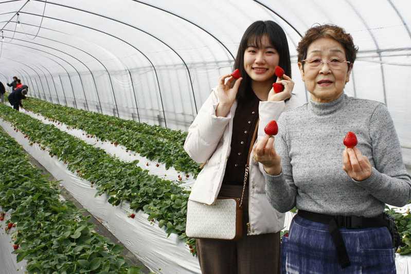 優しいおばあちゃんと