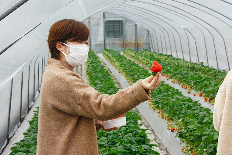 見て見て！おいしそう〜