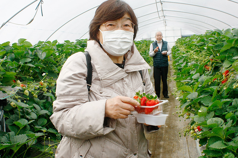 ゆったり苺を楽しむご夫婦