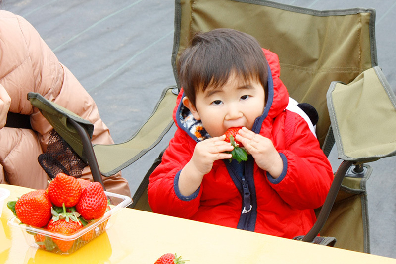 大好きな苺がお口いっぱいに