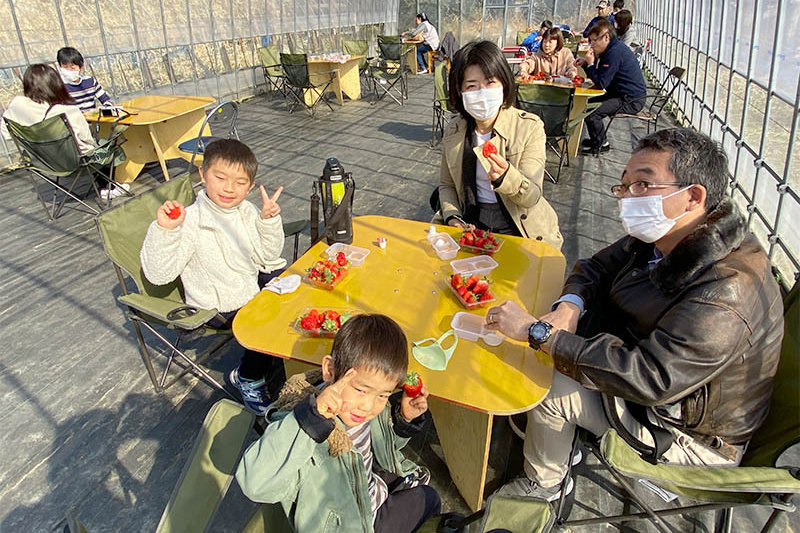 苺は何度でも摘みに行ってね