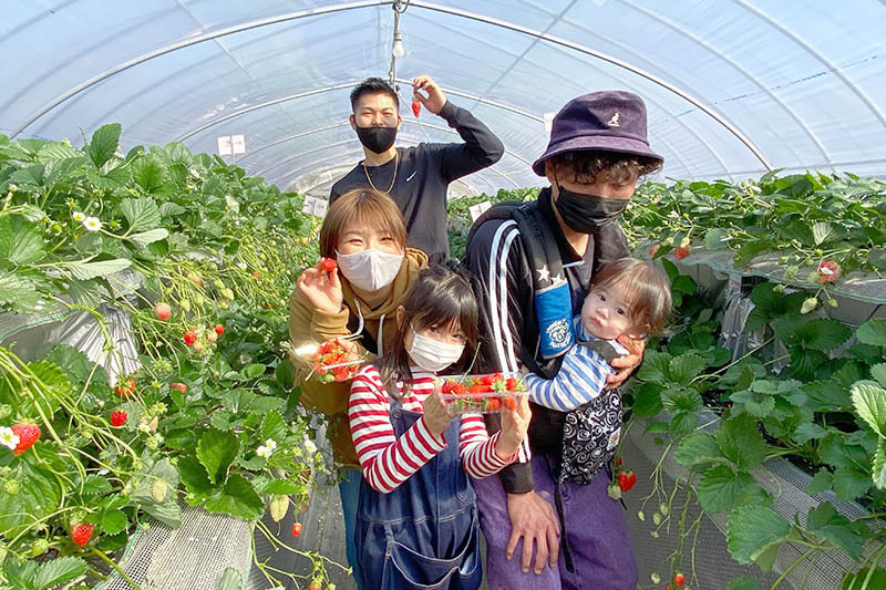 ジャングルっぽい高設もいいね