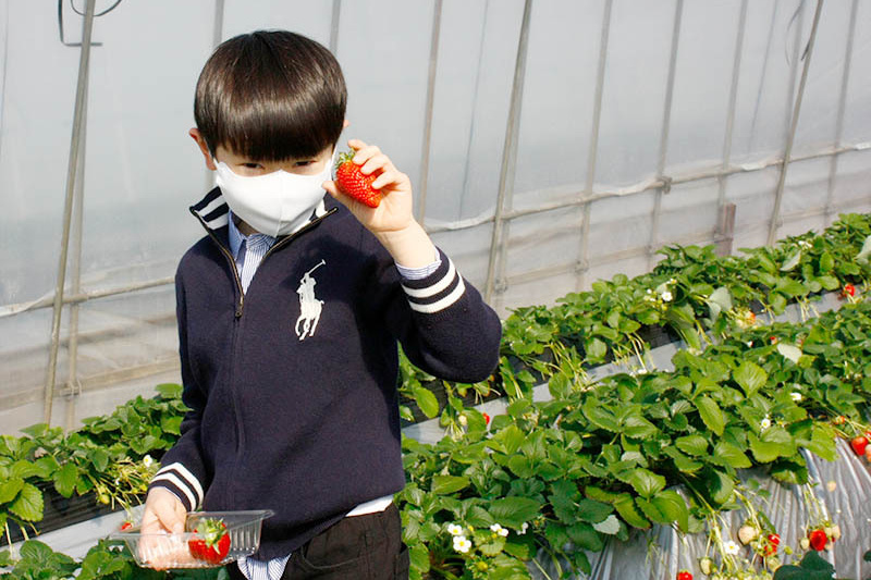 いいのを見つけたね