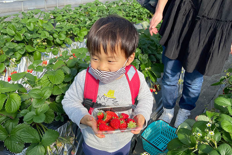 たくさん摘んだね！