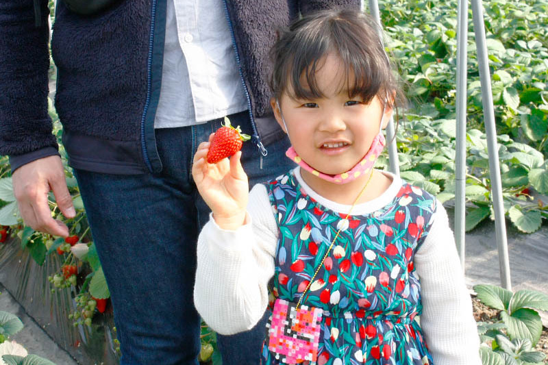 苺が似合うね〜