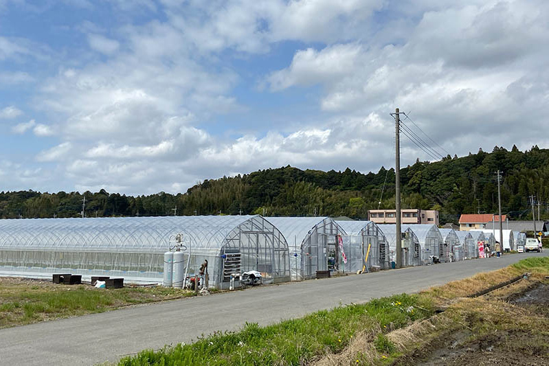 良い天気に恵まれました
