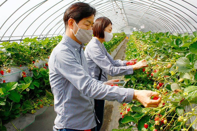 写真のモデルありがとうございます