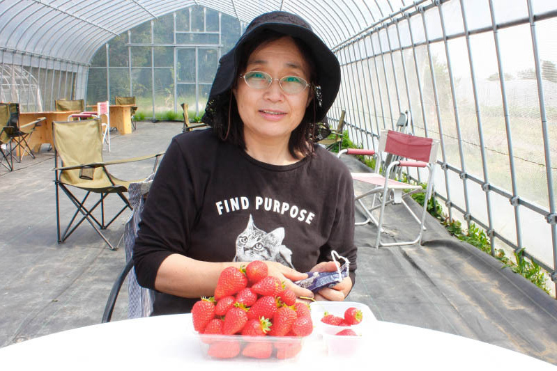 きれいに並べて摘んでいますね