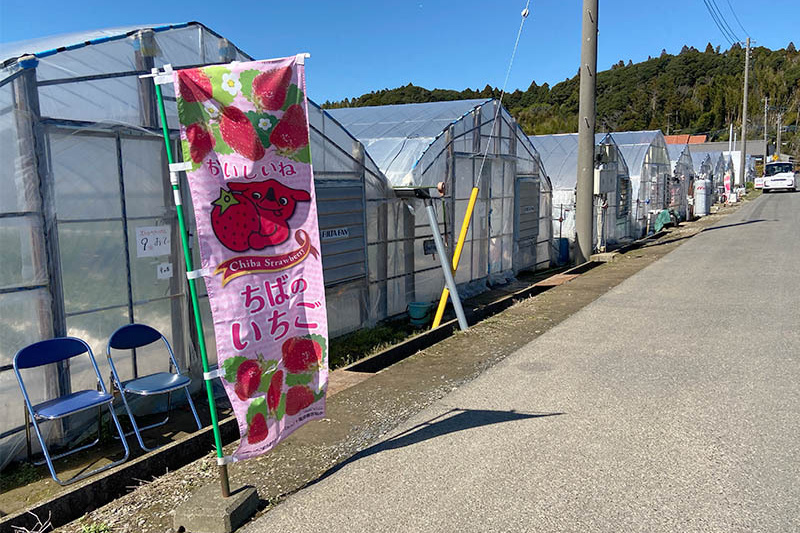 風は強めでした