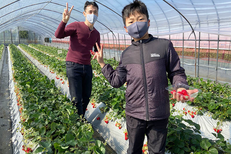 土耕の苺はひと味違いますね