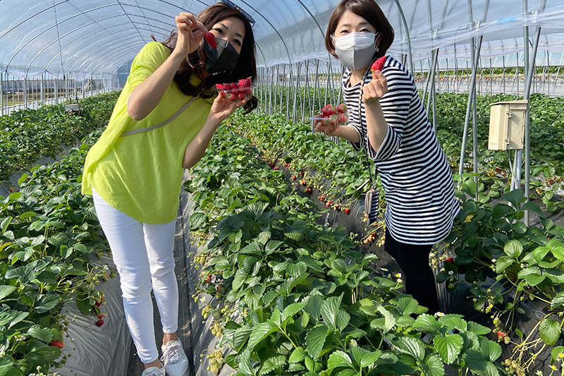 いつもご来園ありがとうございます